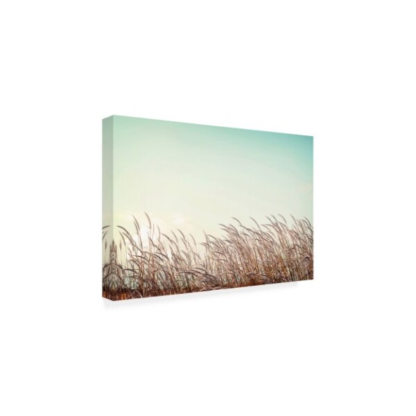 PhotoINC Studio 'Retro Grass' Canvas Art,30x47